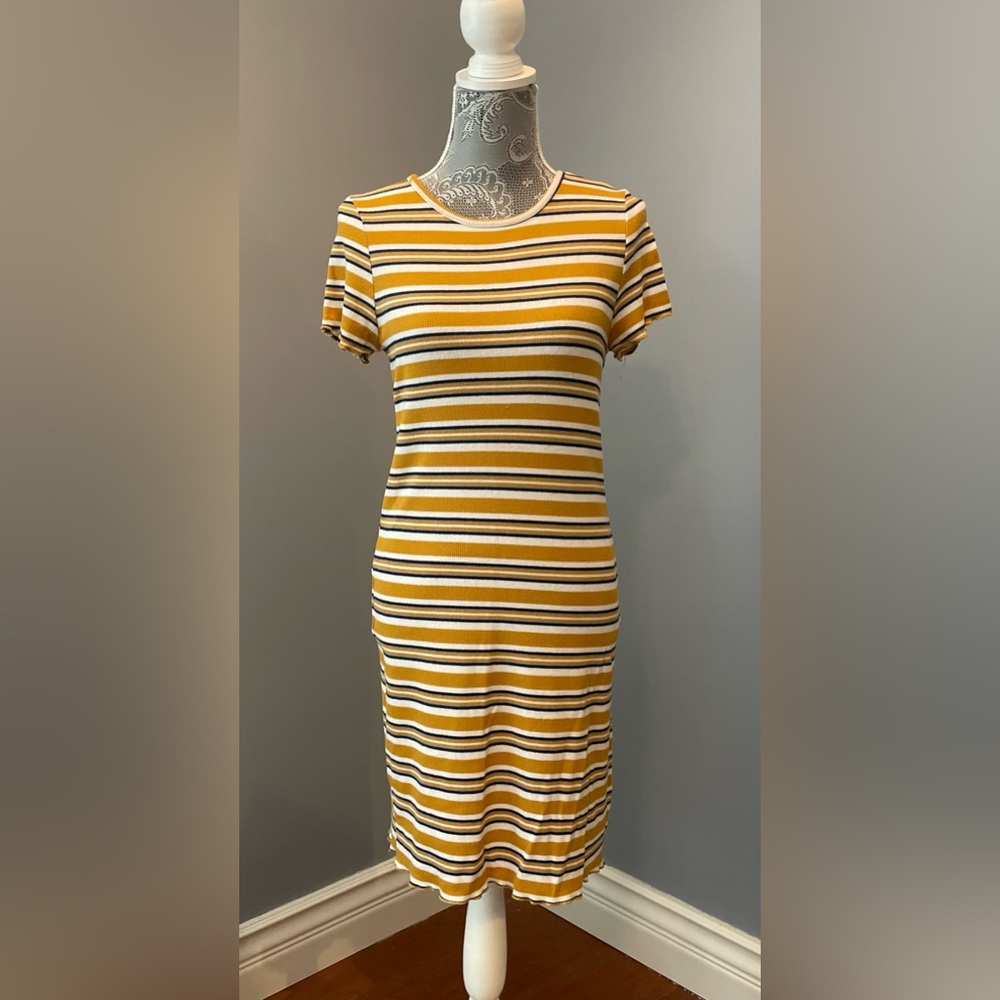 Pink Rose Striped Dress